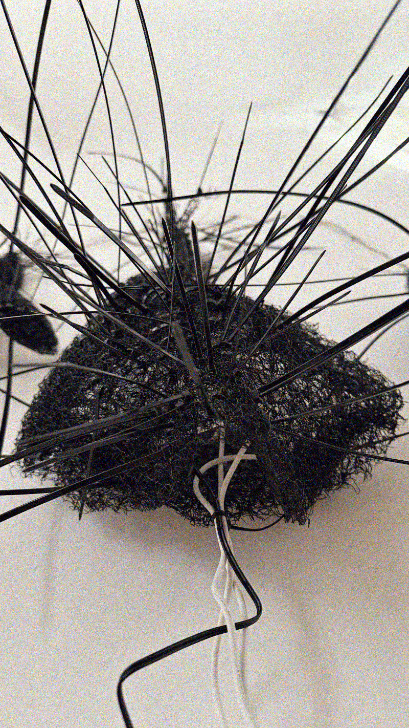 Entity body, top view